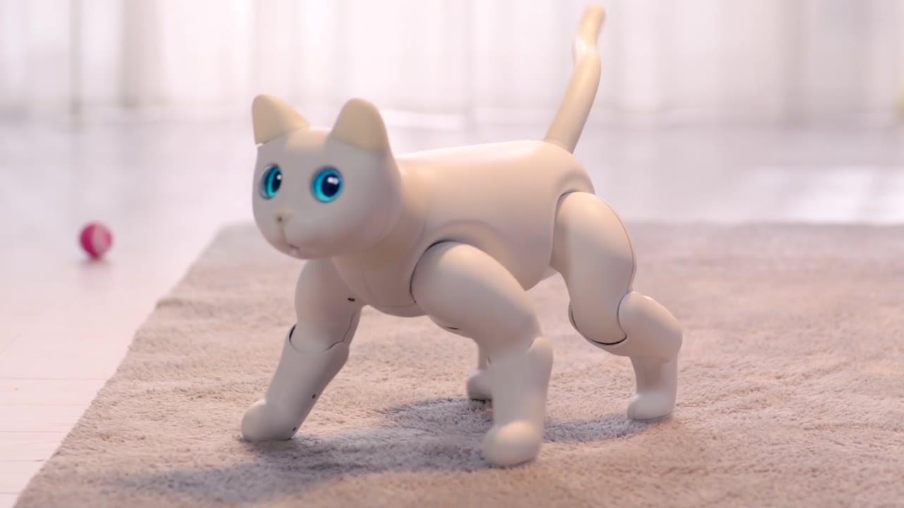 The white MarsCat walking on a cream carpet